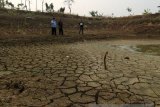 Sejumlah warga di lokasi embung mengering di Desa Geger, Kecamatan Kedungadem, Bojonegoro, Jawa Timur, Kamis (20/9). Dampak kemarau di daerah setempat tidak hanya mengakibatkan warga di 43 desa di 13 kecamatan kesulitan air bersih, tapi juga mengakibatkan banyak embung mengering. Antarajatim/Slamet Agus Sudarmojo/18.
