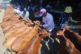 
Pedagang menunggui sapi dagangannya di Pasar Keppo, Pamekasan, Jawa Timur, Selasa (25/9). Menjelang musim penggemukan dan pembiakan pada musim hujan yang akan datang harga sapi di Madura naik dari Rp5 juta-Rp25 juta menjadi Rp5.5 juta-Rp26 juta per ekor. Antara Jatim/Saiful Bahri/zk/18
