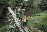 Warga melintasi jembatan gantung bambu yang rusak di Pondok Rajeg, Bogor, Jawa Barat, Selasa (25/9). Jembatan gantung penghubung desa Panjang Pondok Rajeg dan desa Utan Citayam tersebut sudah rusak dan lapuk sehingga dapat membahayakan warga yang melintas. ANTARA JABAR/Yulius Satria Wijaya/agr/18.