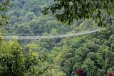 Jembatan Gantung Situ Gunung