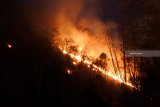 Kebakaran hutan jati dan bambu di Desa Sliwung, Panji, Situbondo, Jawa Timur, Sabtu (15/9). Sekitar 10 hektar hutan jati dan bambu milik warga terbakar akibat musim kemarau dan perbuatan tak bertanggungjawab warga membuang puntung rokok sembarangan. Antara Jatim/Seno/mas/18.