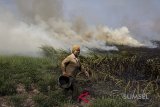 Najib Asmani ingin Kabupaten/Kota bina desa rawan kebakaran hutan dan lahan