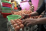 Pedagang merapikan telur ayam dagangannya di Pasar Cibinong, Bogor, Jawa Barat, Kamis (27/9). Kementerian Perdagangan memutuskan untuk menaikkan harga acuan telur ayam sebesar Rp.1000 ditingkat petani maupun konsumen, sehingga mulai 1 Oktober 2018 harga telur ditingkat petani menjadi Rp.18.000 - Rp.20.000 perkilogram dan tingkat konsumen Rp.23.000 perkilogram. ANTARA JABAR/Yulius Satria Wijaya/agr/18.