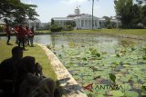 Pengunjung menikmati suasana alam dengan latar Istana Bogor di Kebun Raya Bogor, Kota Bogor, Jawa Barat,  Selasa (11/9). Warga memanfaatkan libur Tahun Baru Islam 1 Muharram 1440 H untuk berwisata bersama keluarga. ANTARA JABAR/Yulius Satria Wijaya/agr/18.