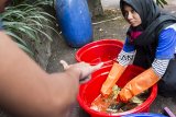 Seorang siswa berkebutuhan khusus melakukan proses pewarnaan kain batik saat Lomba Keterampilan Siswa Nasional di Lembang, Kabupaten Bandung Barat, Jawa Barat, Kamis (27/9). Kegiatan yang diikuti siswa Sekolah Luar Biasa se Jawa Barat ini bertujuan untuk melatih anak agar dapat mengembangkan potensi dan bakat pada bidang keterampilan untuk mencapai kemandirian.ANTARA JABAR/M Agung Rajasa/agr/18
