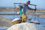 Pekerja memanen garam di Desa Bunder,  Pamekasan, Jawa Timur, Minggu (16/9). Hingga akhir Agustus 2018 produksi garam nasional mencapai 572.808 ton atau masih dibawah target pemerintah sebanyak 1.5 juta ton. Antara Jatim/Saiful Bahri/zk/18