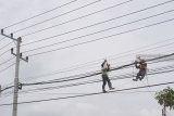 Pekerja memasang pengaman pada jaringan kabel saluran udara tegangan menengah (SUTM) di Trenggalek, Jawa Timur, Kamis (20/9). Perawatan rutin dilakukan PLN pada jaringan SUTM untuk memastikan suplai listrik ke pelanggan rumah tangga maupun industri di daerah-daerah tetap normal. Antara Jatim/Destyan Sujarwoko/mas/18.