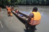 Tim SAR mencari Kepala Kampung Holkima diduga hanyut di Sungai Ibele