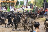 Petani yang berdandan seperti kerbau (kebo-keboan) berada didalam lumpur saat ritual adat kebo-keboan di Alas Malang, Banyuwangi, Jawa Timur, Minggu (23/9). Ritual adat yang dilakukan turun-temurun sebagai ungkapan rasa syukur warga atas hasil panen yang melimpah tersebut, warga menggunakan kostum kerbau sebagai simbol teman petani. Antara Jatim/Budi Candra Setya/mas/18.