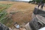 Warga berada di waduk Kedungsengon yang kondisinya mengering di Gondang, Nganjuk, Jawa Timur, Selasa (18/9). Waduk penyuplai air untuk lahan pertanian seluas 439 hektar itu tiga bulan terakhir mengering akibat musim kemarau. Antara Jatim/Prasetia Fauzani/mas/18.