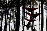 Wisatawan menikmati hammock atau ayunan yang dipasang diantara pohon pinus di Wisata Hutan Pinus Batu Cakra, Darmacaang, Kabupaten Ciamis, Jawa Barat, Sabtu (22/9). Wisata Hutan Pinus yang terletak di kaki Gunung Sawal tersebut dikelola oleh Perhutani Kabupaten Ciamis bekerjasama dengan Pemberdayaan Lembaga Masyarakat Desa Hutan (LMDH) menyediakan keindahan panorama wilayah Ciamis dan Tasikmalaya dari atas ketinggian. ANTARA JABAR/Adeng Bustomi/agr/18