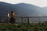 Wisatawan menikmati suasana alam pegunungan di lereng Gunung Lawu, Magetan, Jawa Timur, Selasa (11/9). Banyak warga bersama keluarganya memanfaatkan liburan Tahun Baru Islam 1 Muharram 1440 Hijriyah untuk berwisata menikmati udara sejuk di kawasan pegunugan yang berada di perbatasan Jawa Timur dengan Jawa Tengah tersebut. Antara Jatim/Siswowidodo/mas/18.