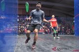 Squash Beregu Putra Final Hong Kong Vs Malaysia