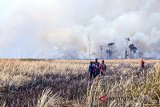 Titik Api di Areal Lahan Peringatan Hari Pangan Sedunia ( HPS ) di Jejangkit terus bertambah, dari sebelumnya dua titik menjadi tujuh titik Api, Kencangnya angin menyebabkan Api cepat membesar dan sulit untuk dipadamkan, Sabtu 22 September 2018 ( Antara/Latif Thohir )