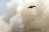 Cegah Api  meluas mendekati areal HPS yang telah tergarap, Tim BPBD Kerahkan tiga buah heli Water Bombing untuk padamkan api