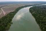 Sebagian lahan di kawasan penyangga Cagar Alam Hutan Bakau Pantai Timur Sumatera mulai ditanami kelapa sawit terlihat dari Kuala Lagan, Kuala Jambi, Tanjungjabung Timur, Jambi, Kamis (20/9). Alih fungsi lahan menjadi perkebunan kelapa sawit skala besar di desa penyangga Cagar Alam Hutan Bakau Pantai Timur Sumatera yang didominasi tanaman mangrove tersebut mulai mengancam keberadaan kawasan yang merupakan rumah bagi beberapa habitat satwa diantaranya buaya muara, kepiting bakau, udang bakau dan ikan sembilang. ANTARA FOTO/Wahdi Septiawan/ama/18.