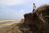 Warga berada di sekitar pantai yang rusak terkikis abrasi di desa Sendang, Karangampel, Indramayu, Jawa Barat, Selasa (30/10/2018). Abrasi pantai di pesisir Indramayu kian meluas dengan rata-rata laju abrasi hingga 10 meter per tahun. ANTARA JABAR/Dedhez Anggara/agr.
