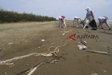 Sejumlah siswa Sekolah Dasar memunguti sampah saat kegiatan Aksi Peduli Lingkungan di Pantai Karangsong, Indramayu, Jawa Barat, Jumat (19/10/2018). Kegiatan yang digagas Pokja Media Polres Indramayu dan Balai Besar Wilayah Sungai (BBWS) Cimanuk-Cisanggarung itu untuk meningkatkan edukasi masyarakat terhadap kepedulian lingkungan. ANTARA JABAR/Dedhez Anggara/agr.