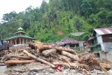 Beberapa warga berada diantara kayu yang terbawa arus sungai pascabanjir bandang yang terjadi, di Desa Muara Saladi, Kecamatan Ulu Pungkut, Mandailing Natal, Sumatera Utara, Sabtu (13/10). Banjir bandang yang terjadi pada Jumat (12/10) melanda sembilan kecamatan di Kabupaten Mandailing Natal, menyebabkan sedikitnya 13 orang meninggal dunia dan 10 orang lainnya dinyatakan hilang. Holik Mandailing