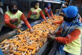 Pekerja melakukan pembersihan jagung yang akan dijadikan benih di perusahaan benih PT Bisi International Tbk di Kediri, Jawa Timur, Kamis (18/10/2018). Pemerintah mengalokasikan bantuan benih jagung hibrida seluas 2,8 juta hektar yang tersebar di 33 provinsi guna memenuhi kebutuhan jagung dalam negeri tanpa impor. Antara Jatim/Prasetia Fauzani/mas.