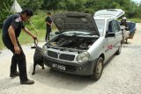 Seorang petugas dan anjing pelacak dari Unit K9 Bea Cukai Kantor Wilayah Kalimantan Bagian Barat (Kanwil) Kalbagbar memeriksa kendaraan dari Malaysia yang hendak masuk ke Indonesia di perbatasan Jagoi Babang, Kabupaten Bengkayang, Kalbar, Rabu (17/10/2018). Guna mengantisipasi penyelundupan narkoba, Unit K9 Bea Cukai Kanwil Kalbagbar melakukan pemeriksaan dengan mengunakan anjing pelacak yang mampu mendeteksi keberadaan barang ilegal tersebut. ANTARA FOTO/HS Putra/jhw