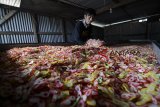 Pekerja mengeringkan kerupuk di pabrik produksi kerupuk Riung Bandung, Bandung, Jawa Barat, Selasa (17/10/2018). Ketua Gabungan Pengusaha Makanan dan Minuman Indonesia (GAPMMI) Adhi S Lukman memperkirakan pada 2019 mendatang, banyak perusahaan makanan dan minuman yang mulai menaikkan harga dari tiga hingga lima persen akibat dari dampak pelemahan rupiah. ANTARA JABAR/Raisan Al Farisi/agr.
