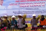 Sulsel miliki prospek jadi provinsi mandiri benih