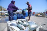 Nelayan menurunkan ikan tangkapannya  di Pelabuhan Tanglok, Sampang, Jatim, Selasa (2/10). Dalam sepekan terakhir harga ikan di daerah itu mulai turun menyusul tangkapan nelayan setempat mulai meningkat. Antara Jatim/Saiful Bahri/mas/18.
