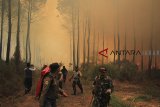 Petugas gabungan terkepung kobaran api dan kepulan asap saat melakukan pemadaman kebakaran hutan di lereng Gunung Ciremai, Kuningan, Jawa Barat, Rabu (3/10). Kebakaran hutan di Gunung Ciremai kembali meluas hingga mencapai 350 hektar dan belum berhasil dipadamkan. ANTARA JABAR/Dedhez Anggara/agr/18.
