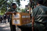 Petugas membawa burung hasil sitaan di Balai Besar Konservasi Sumber Daya Alam (BBKSDA) Jatim, Juanda, Sidoarjo, Jawa Timur, Jumat (12/10). Sebanyak 210 ekor burung jenis murai batu, cucak jenggot dan cucak hijau akan dilepasliarkan ke habitat asal yaitu 170 ekor ke Balikpapan, Kalimatan Timur dan 40 ekor ke Pangkalanbun, Kalimantan Tengah. Antara Jatim/Umarul Faruq/mas/18.