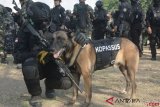 Prajurit TNI menyiagakan anjing K-9 saat Gelar Pasukan Komando Gabungan Pengamanan VVIP Pertemuan Tahunan IMF-World Bank 2018 di Lapangan Niti Mandala Renon, Denpasar, Bali, Minggu (7/10/2018). Ribuan personel TNI Polri dikerahkan untuk melakukan pengamanan berbagai kawasan di Bali selama berlangsungnya Pertemuan Tahunan IMF-World Bank pada 8-14 Oktober. ANTARA FOTO/Fikri Yusuf/foc.