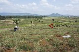 Suasana lahan di area proyek perencanaan pembangunan Bandara Sukabumi, Cikembar, Kabupaten Sukabumi, Jawa Barat, Sabtu (20/10/2018). Pemerintah Pusat menyiapkan dana sebesar Rp400 miliar untuk pembangunan Bandara Sukabumi yang akan dimulai pada awal 2019 dan diperkirakan rampung pada tahun 2022. ANTARA JABAR/Nurul Ramadhan/agr.
