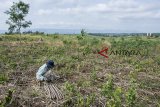 Suasana lahan di area proyek perencanaan pembangunan Bandara Sukabumi, Cikembar, Kabupaten Sukabumi, Jawa Barat, Sabtu (20/10/2018). Pemerintah Pusat menyiapkan dana sebesar Rp400 miliar untuk pembangunan Bandara Sukabumi yang akan dimulai pada awal 2019 dan diperkirakan rampung pada tahun 2022. ANTARA JABAR/Nurul Ramadhan/agr.
