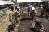 Siswa menanam biji kopi excelsa saat mata pelajaran kopi di SMK Pertanian Pembangunan (PPN) Negeri, Tanjungsari, Kabupaten Sumedang, Jawa Barat, Kamis (4/10). SMK PPN menjadi sekolah percontohan dan satu-satunya di Jawa Barat yang mengembangkan budidaya tanaman kopi dalam mata pelajaranya. ANTARA JABAR/Raisan Al Farisi/agr/18