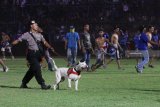 Petugas Satuan K-9 dari Kepolisian berusaha menghalau oknum suporter Arema FC (Aremania) yang memasuki lapangan usai tim kesayangannya mengalahkan Persebaya Surabaya di Stadion Kanjuruhan, Malang, Jawa Timur, Sabtu (6/10) Dalam pertandingan tersebut Arema FC mengalahkan Persebaya dengan skor akhir 1-0. Antara Jatim/Ari Bowo Sucipto/mas/18.