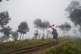 Seorang pendaki menembus kabut saat turun dari Gunung Putri, Lembang, Kabupaten Bandung Barat, Jawa Barat, Selasa (30/10/2018). Badan Meteorologi, Klimatologi dan Geofisika (BMKG) mengimbau masyarakat untuk meningkatkan kewaspadaan terhadap peralihan musim kemarau ke hujan yang disertai potensi angin besar, kuat dan berbahaya. ANTARA JABAR/Raisan Al Farisi/agr.