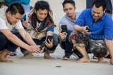 Puluhan pengunjung melihat pelepasan penyu di kawasan wisata penangkaran Konservasi Penyu Pangumbahan, Kabupaten Sukabumi, Jawa Barat, Sabtu (6/10). Kawasan tersebut merupakan wisata edukasi berupa pelepasan penyu pada pukul 17.30 WIB, sebagai upaya konservasi melestarikan penyu dari kepunahan. ANTARA JABAR/Nurul Ramadhan/agr/18