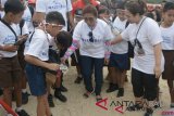 Menteri Kelautan dan Perikanan Susi Pudjiastuti (tengah) bersama pelajar dan masyarakat membersihkan kawasan Pantai Kuta saat Pre-Event Our Ocean Conference (OOC) 2018: Beach Clean Up di Bali, Minggu (28/10/2018). Kegiatan yang diikuti lebih dari seribu orang masyarakat dari berbagai lembaga dan komunitas tersebut mengajak masyarakat menjaga kebersihan kawasan pantai dan laut sekaligus sebagai kampanye pengurangan penggunaan sampah plastik. ANTARA FOTO/Fikri Yusuf/wdy/2018