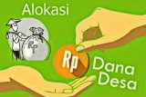 Dana desa pada 2020 naik jadi Rp75 triliun