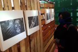 Para pengunjung melihat foto yang dipamerkan dalam Pameran Face of Kalimantan di area Festival Kuliner Khatulistiwa di Megamall Ayani Pontianak, Kalbar, Senin (22/10/2018). Pameran foto yang diikuti 9 fotografer dari APFI Pengda Kalbar yaitu Harivo Santoso, Lukman Hakim, Sugih Wiramantri, Reza Novriandi, Teguh Yanu Priyatna, Iqbal Al Ali, Imam Khoerul Anwar, Tama Heruadji dan Rendy Harya tersebut, menyajikan foto2 bertema sosial dan budaya Kalbar. ANTARA FOTO Jessica Helena Wuysang