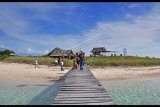 Paket wisata kapal pesiar ke Pulau Kenawa akan dibuka lagi