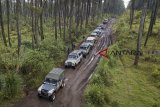 Sejumlah kendaraan 4x4 melewati hutan pinus saat membawa peserta untuk berwisata 