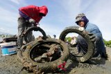 Warga pesisir memanen tiram yang dibudidayakan dengan sistem konvensional atau kolektor di Desa Alue Naga, Banda Aceh, Minggu (11/11/2018). Budidaya tiram sistem kolektor yang menggunakan ban bekas sebagai mediator utama yang dikembangkan aparatur gampong bersama lembaga riset dan publikasi Natural Aceh dapat dipanen dalam jangka waktu tiga hingga empat bulan. Antara Aceh/Irwansyah Putra.