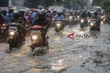 Pengendara melintasi banjir di Jalan A.H Nasution, Bandung, Selasa (13/11/2018). Curah hujan tinggi pada Selasa (13/11) sore yang terjadi di Bandung menyebabkan genangan setinggi 15 hingga 30 sentimeter di beberapa tempat di Kota Bandung. ANTARA JABAR/Raisan Al Farisi/agr.