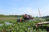 Sebuah perahu tambang menepi di tambangan Bengawan Solo di Desa Ngringinrejo, Kecamatan Kalitidu, Bojonegoro, Jawa Timur, Minggu (11/11). Bersamaan masuk musim hujan di sejumlah lokasi perairan Bengawan Solo di daerah hilir Jawa Timur, dipenuhi tanaman eceng gondok dari daerah hulu. 