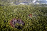 Foto udara kawasan hutan lindung di Cikole, Lembang, Kabupaten Bandung Barat, Jawa Barat, Selasa (6/11/2018). Data dari Conservation International Indonesia mencatat, saat ini tutupan hutan di Jawa Barat hanya 22 persen, dengan luasan hutan alam tersisa 816.000 hektar yang terdiri dari hutan taman nasional, cagar alam, cagar suaka, hutan lindung dan hutan produksi. ANTARA JABAR/Raisan Al Farisi/agr.