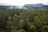 Foto udara kawasan hutan lindung di Cikole, Lembang, Kabupaten Bandung Barat, Jawa Barat, Selasa (6/11/2018). Data dari Conservation International Indonesia mencatat, saat ini tutupan hutan di Jawa Barat hanya 22 persen, dengan luasan hutan alam tersisa 816.000 hektar yang terdiri dari hutan taman nasional, cagar alam, cagar suaka, hutan lindung dan hutan produksi. ANTARA JABAR/Raisan Al Farisi/agr.