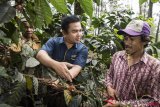 KUR Pemberdayaan Petani Kopi 