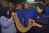 Presiden ke-6 sekaligus Ketua Umum Partai Demokrat Susilo Bambang Yudhoyono (kedua kanan) didampingi Ibu Ani Yudhoyono (kanan) Ketua Komando Satuan Tugas Bersama (Kogasma) Partai Demokrat Agus Harimurti Yudhoyono (kiri) dan Ketua Fraksi Demokrat Edhie Baskoro Yudhoyono (kedua kiri) menyaksikan produksi makanan pisang sale saat 