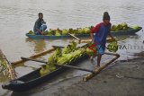 Warga mendistribusikan gas elpiji bersubsidi 3 Kg menggunakan perahu melintasi muara sungai Cipatujah, Kabupaten Tasikmalaya, Jawa Barat, Kamis (15/11/2018). PT Pertamina (Persero) memprediksi hingga akhir tahun 2018, konsumsi Elpiji 3 kg akan naik 170 ribu ton. Diproyeksikan konsumsi akan mencapai 6,62 juta ton, lebih tinggi dari kuota yang ditetapkan dalam APBN 2018 sebesar 6,4 juta ton. ANTARA JABAR/Adeng Bustomi/agr.